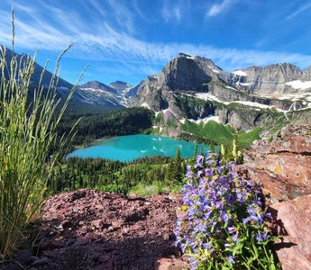 Top 10 CPAP Supplies Companies in Montana