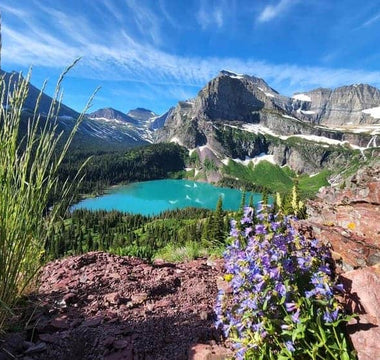 Top 10 CPAP Supplies Companies in Montana