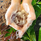 Hands holding a soapy brown bar of handmade soap over fresh green leaves.