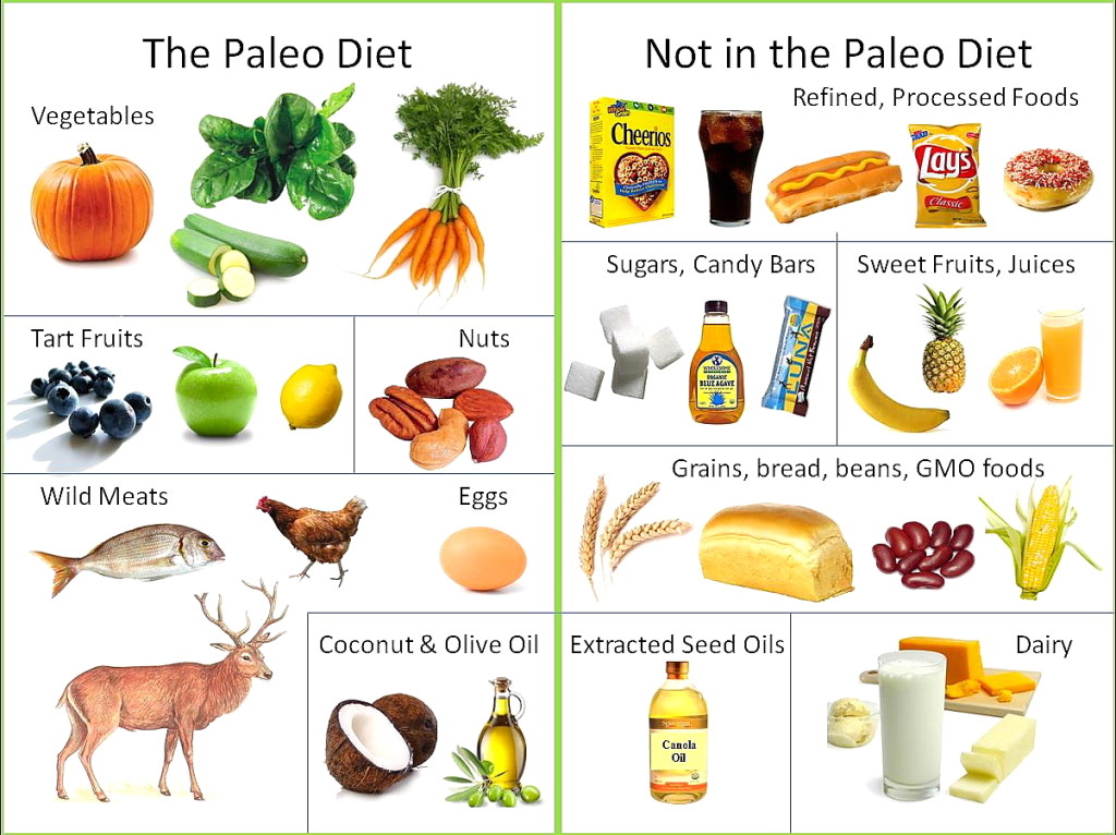 what is a paleo diet good for